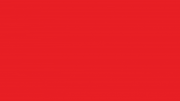 DSA Animated Logo